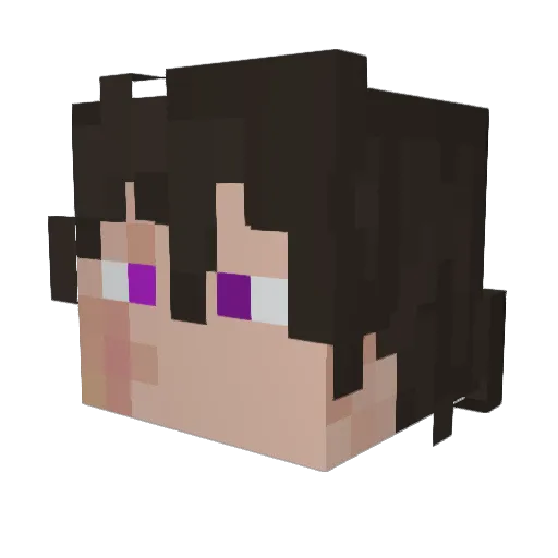 Not_Rio563 Minecraft avatar head, 3D render