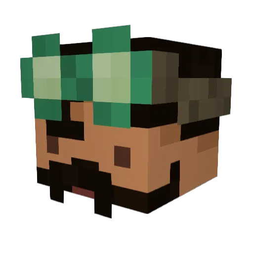 Not_Rohail Minecraft avatar head, 3D render