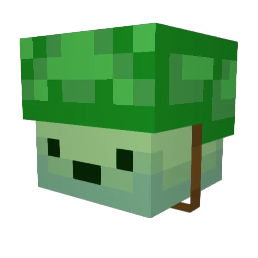 Not_RuxCrusher Minecraft avatar head, 3D render