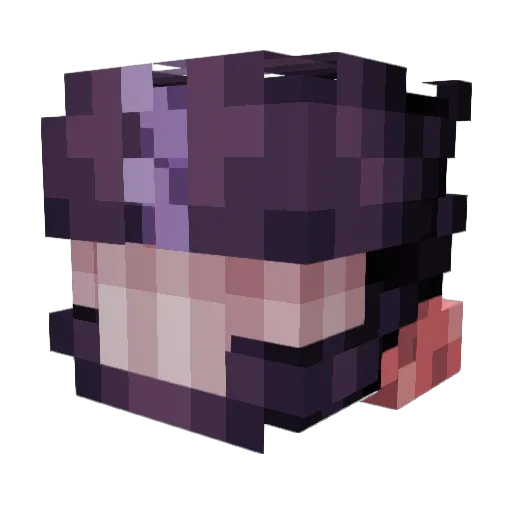 Not_Sack Minecraft avatar head, 3D render