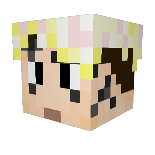 Not_Santi Minecraft avatar head, 3D render