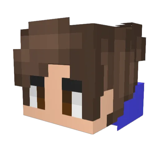 Not_Shadow_Boi Minecraft avatar head, 3D render