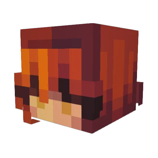 Not_ShadyYT Minecraft avatar head, 3D render