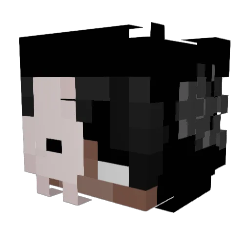 Not_Siloo Minecraft avatar head, 3D render