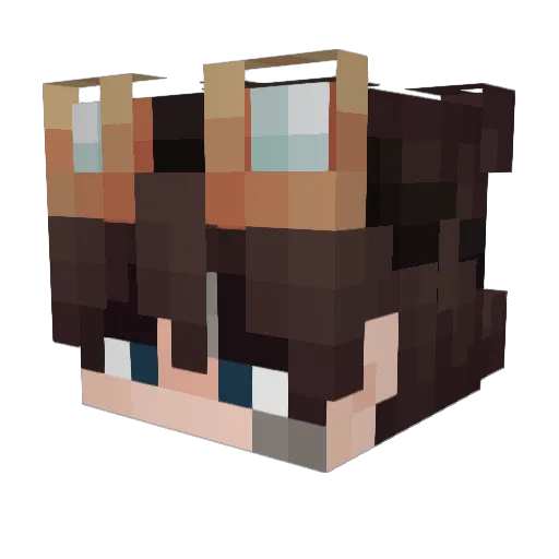 Not_Ski_ Minecraft avatar head, 3D render
