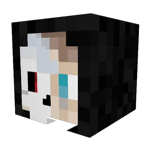 Not_Skully_ Minecraft avatar head, 3D render