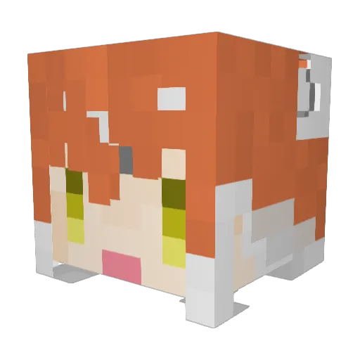 Not_Sleeping Minecraft avatar head, 3D render