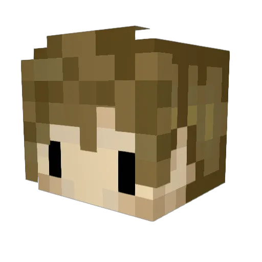 Not_SnowMan Minecraft avatar head, 3D render