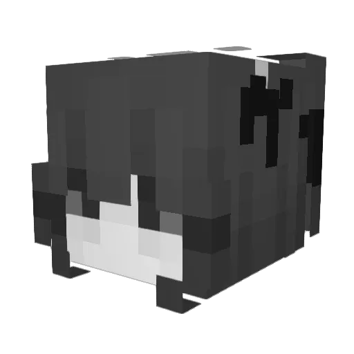 Not_TW_ Minecraft avatar head, 3D render