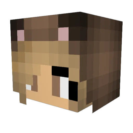 Not_Tee_Bear Minecraft avatar head, 3D render