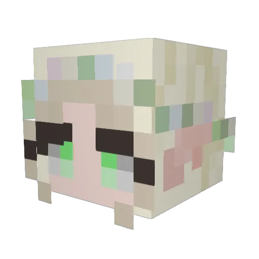 Not_Tess Minecraft avatar head, 3D render