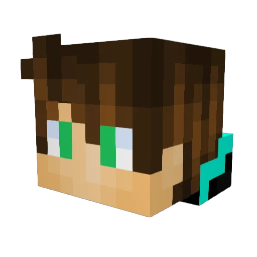 Not_Tonzi Minecraft avatar head, 3D render
