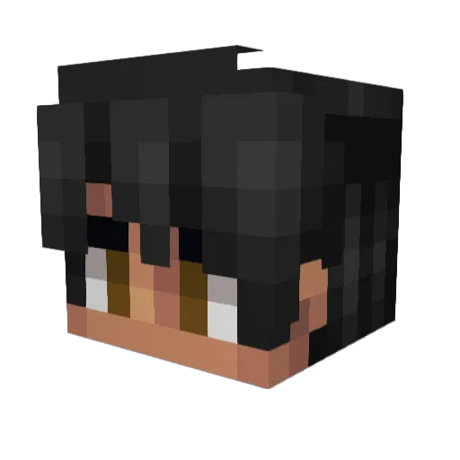 Not_Ty_At_All Minecraft avatar head, 3D render