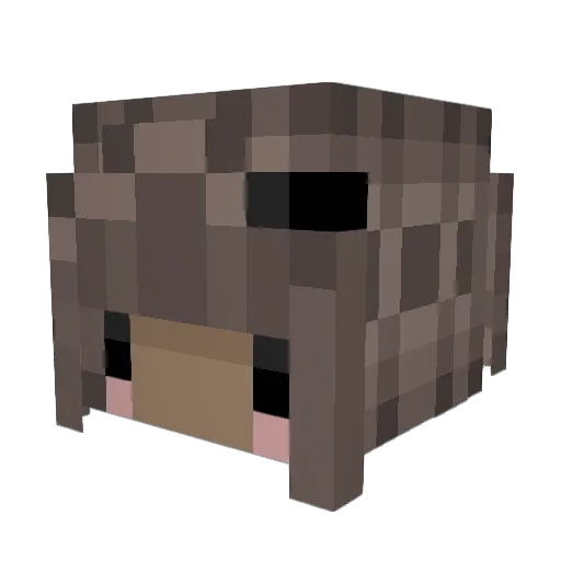 Not_Tyra Minecraft avatar head, 3D render