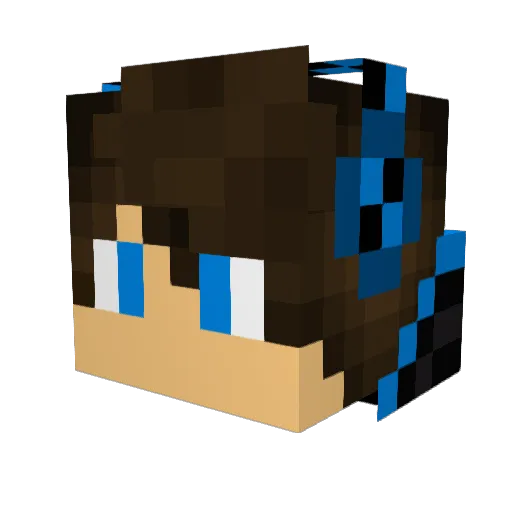 Not_Used Minecraft avatar head, 3D render