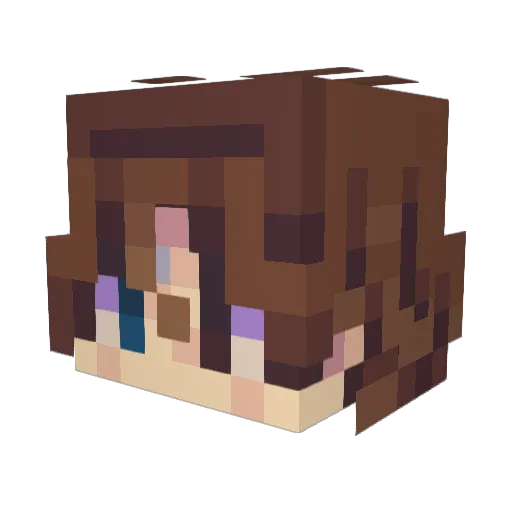 Not_Very_Odinary Minecraft avatar head, 3D render