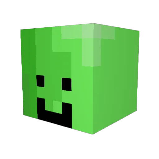 Not_Vigilante Minecraft avatar head, 3D render