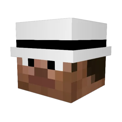 Not_Zan Minecraft avatar head, 3D render