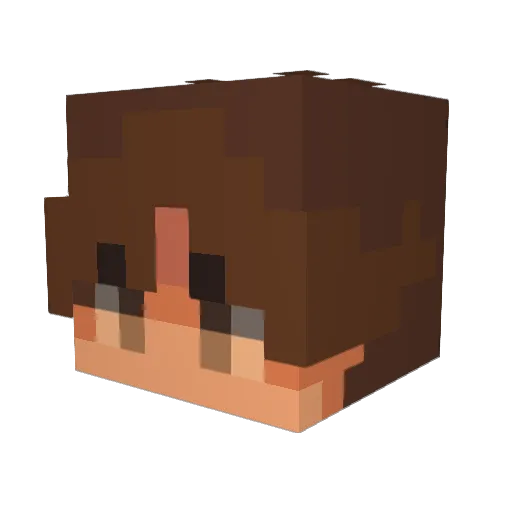 Not_a_Sunflower Minecraft avatar head, 3D render
