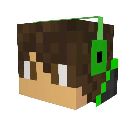 Not_a_bot_NAB Minecraft avatar head, 3D render