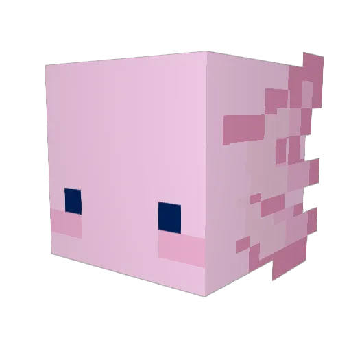 Not_marley123 Minecraft avatar head, 3D render