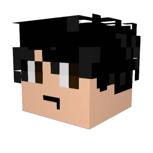 Not_orious Minecraft avatar head, 3D render