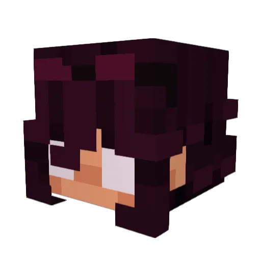 Not_swager Minecraft avatar head, 3D render