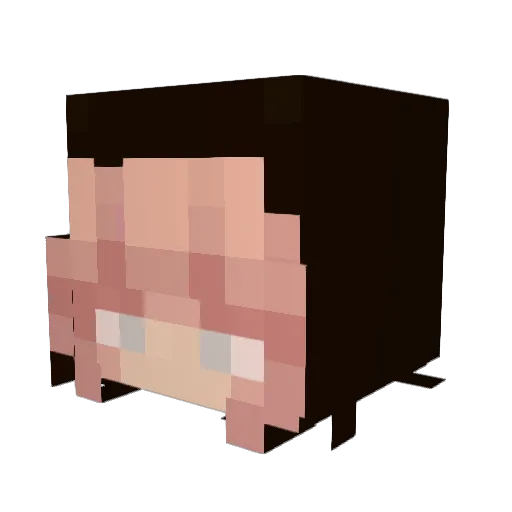 Not_tysia Minecraft avatar head, 3D render