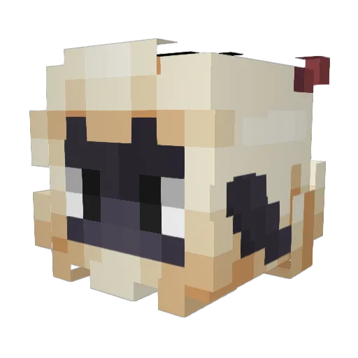 NotaGoose15 Minecraft avatar head, 3D render