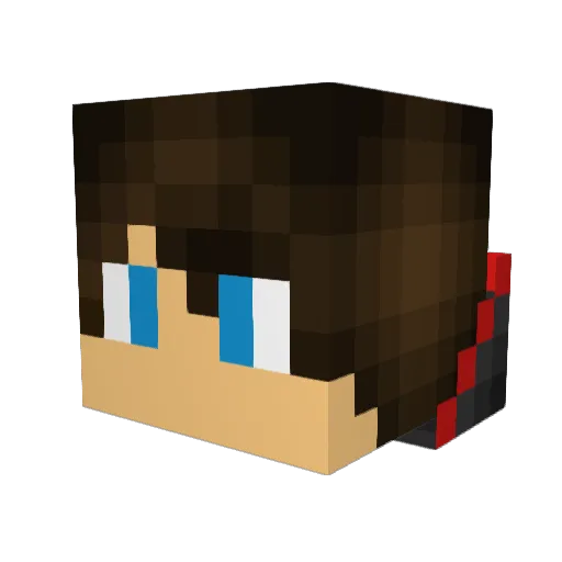 NotaWizard64 Minecraft avatar head, 3D render
