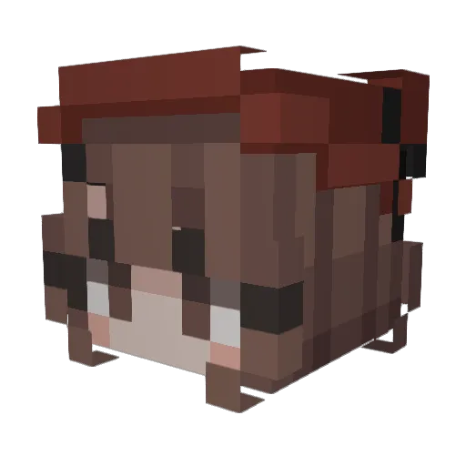 Notagoodname10 Minecraft avatar head, 3D render
