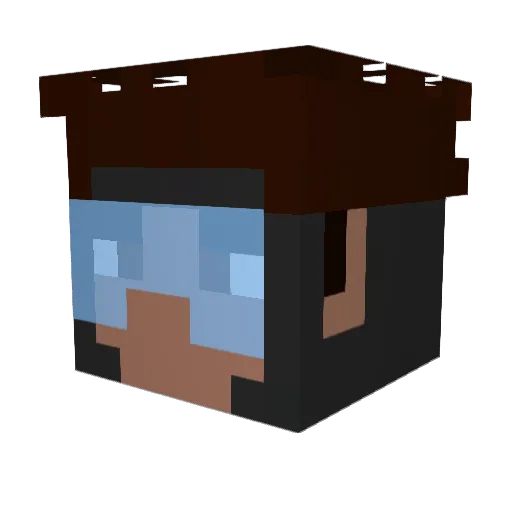 Notasuperhero84 Minecraft avatar head, 3D render