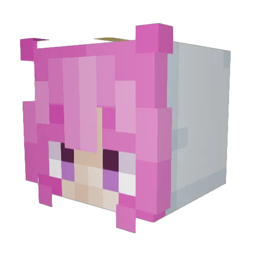 Notated Minecraft avatar head, 3D render