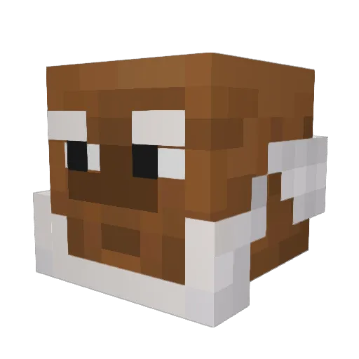 NotchDaVinci Minecraft avatar head, 3D render