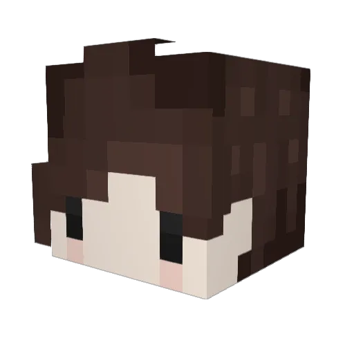NotchriS_11 Minecraft avatar head, 3D render