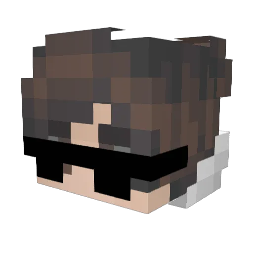 Notdogboy09 Minecraft avatar head, 3D render