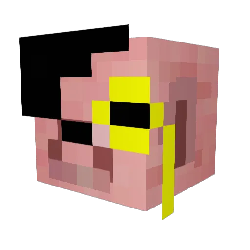 NoteHeiler63888 Minecraft avatar head, 3D render