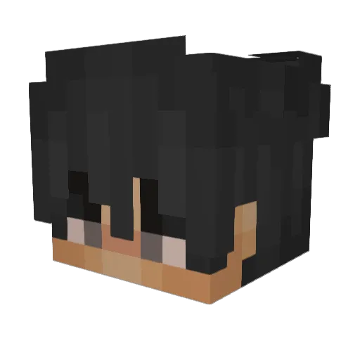 NotedToaster101 Minecraft avatar head, 3D render