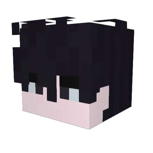 Notes95 Minecraft avatar head, 3D render
