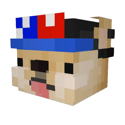 Notfamous56 Minecraft avatar head, 3D render