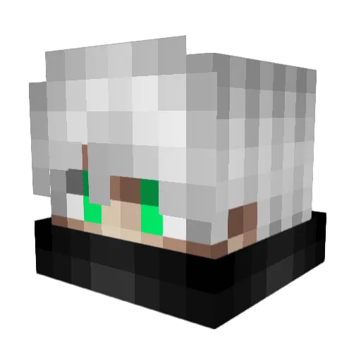 Notforonce Minecraft avatar head, 3D render