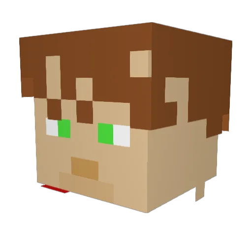 NothinButNet217 Minecraft avatar head, 3D render