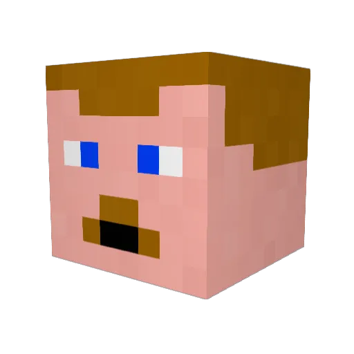 NothinSpecial13 Minecraft avatar head, 3D render