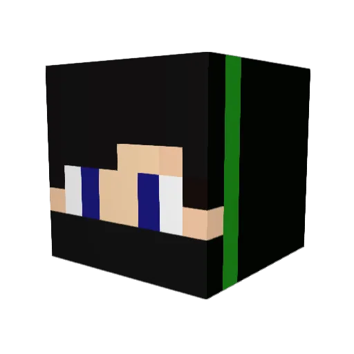 Nothing0S Minecraft avatar head, 3D render