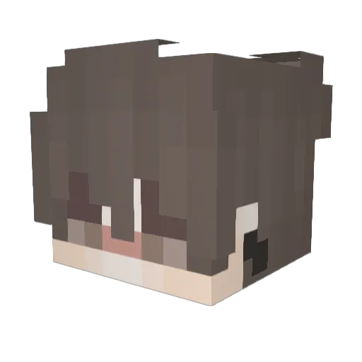 NothingMan_TR Minecraft avatar head, 3D render