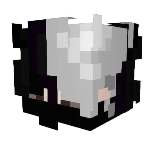 NothingN_ Minecraft avatar head, 3D render
