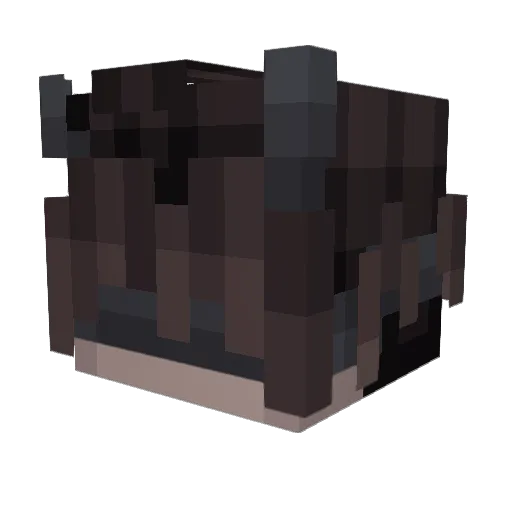 NothingToGain Minecraft avatar head, 3D render