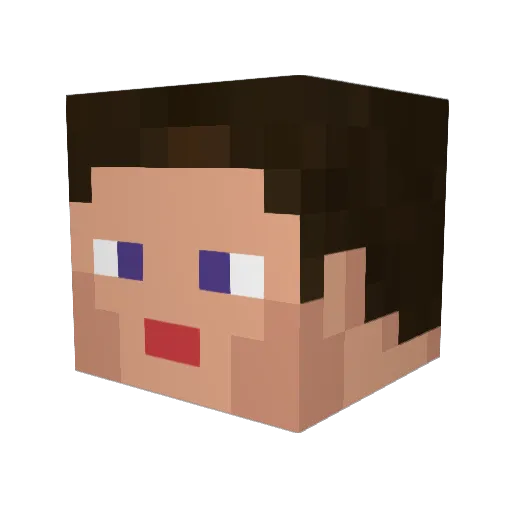 NothingUS Minecraft avatar head, 3D render