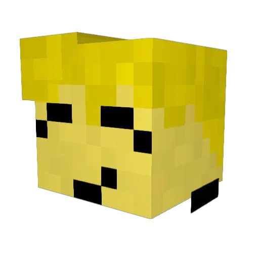Nothing_There2 Minecraft avatar head, 3D render