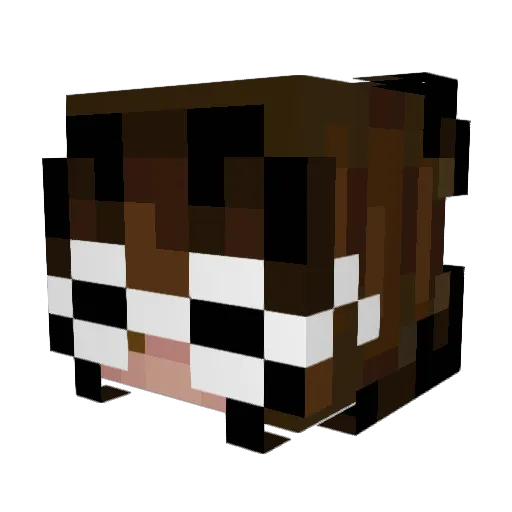 Nothingbetter Minecraft avatar head, 3D render